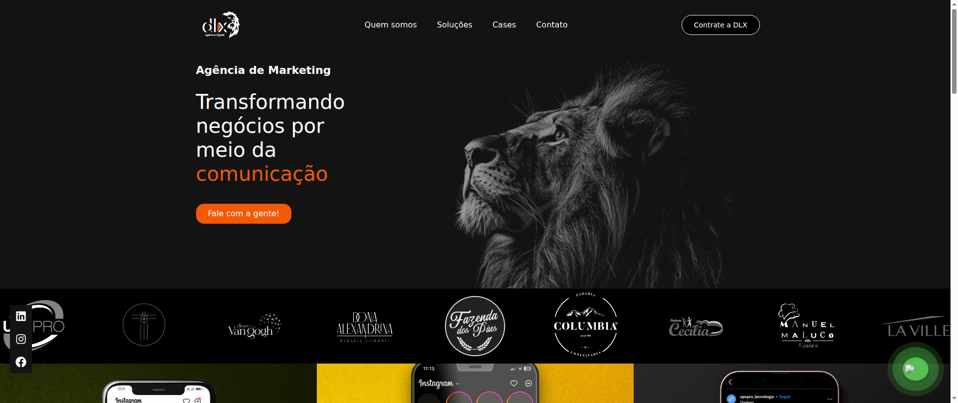 Screenshot of agenciadlx.com.br