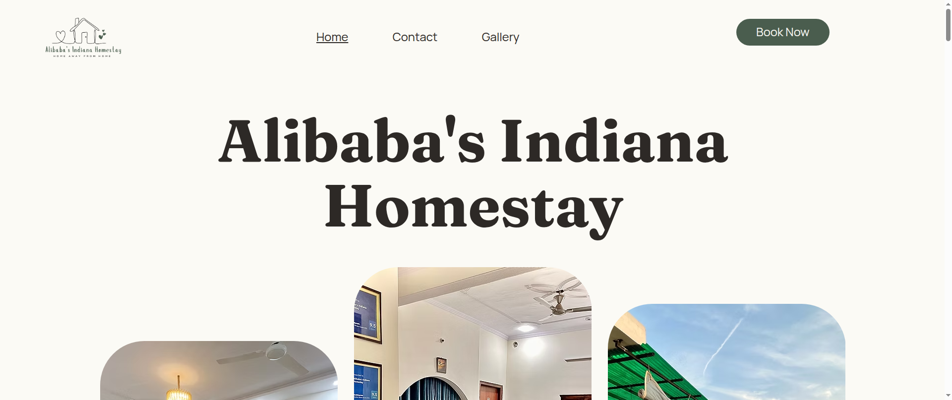 Screenshot of alibabasindianahomestay.com