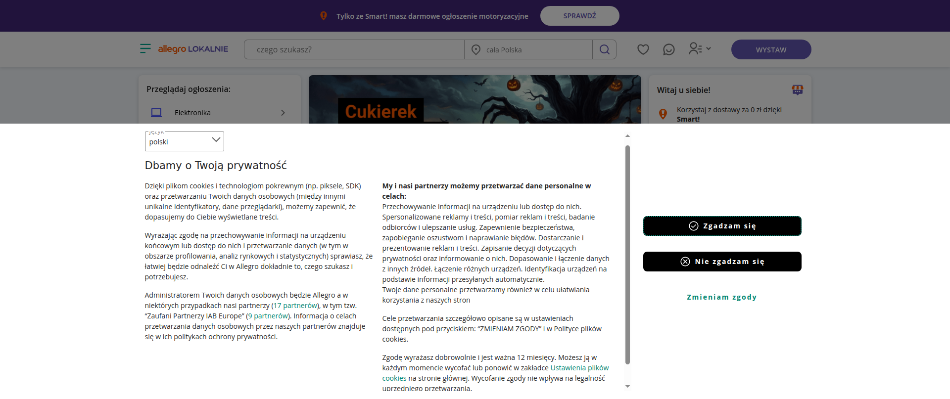 Screenshot of allegrolokalnie.pl209381232jx2317vzx-218713.shop