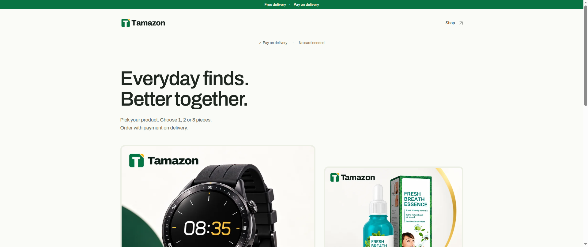 Screenshot of tamazon.online