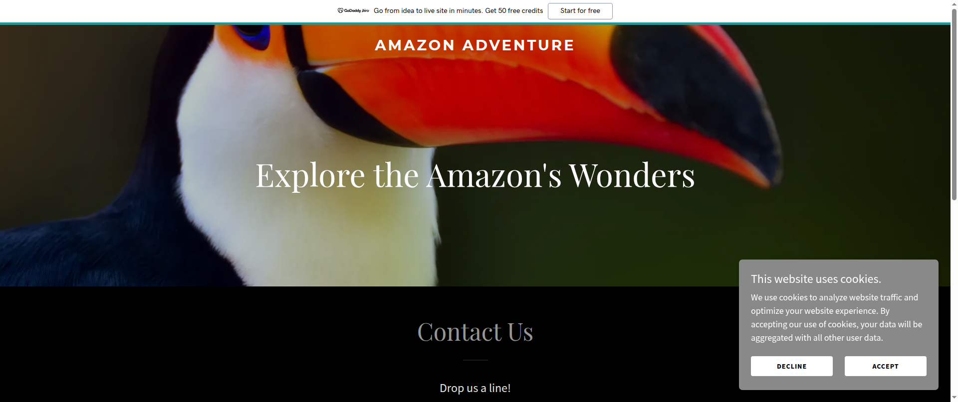 Screenshot of amazon-adventure.com