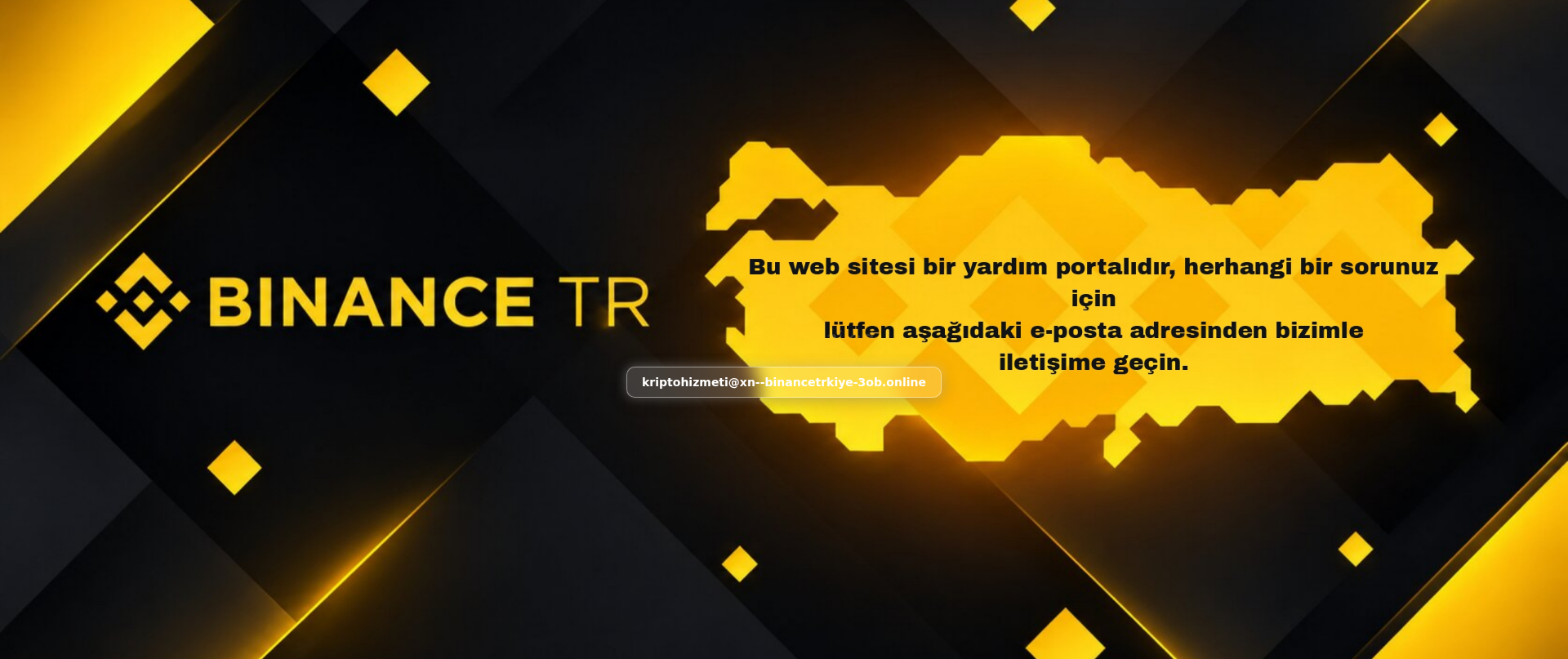 Screenshot of xn--binancetrkiye-3ob.online