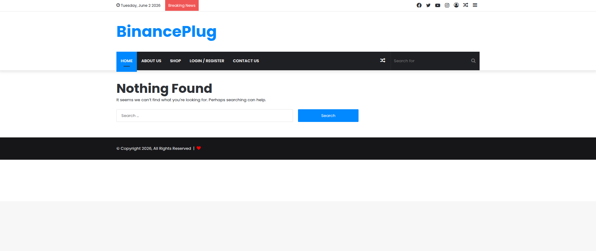 Screenshot of binanceplug.xyz