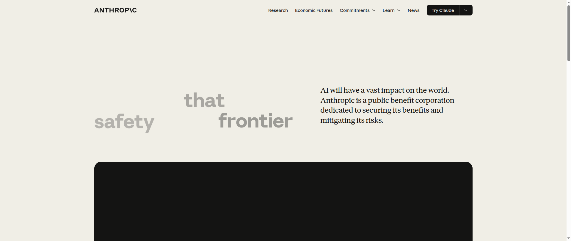 Screenshot of anthropic-programs.com