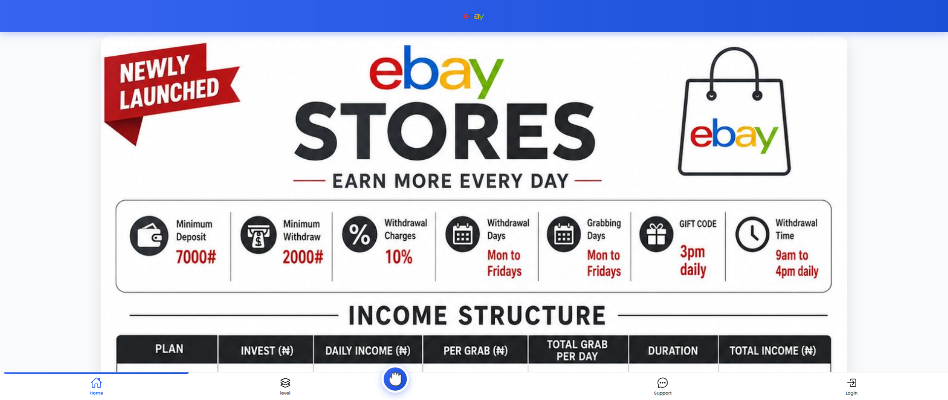 Screenshot of ebay-store.online