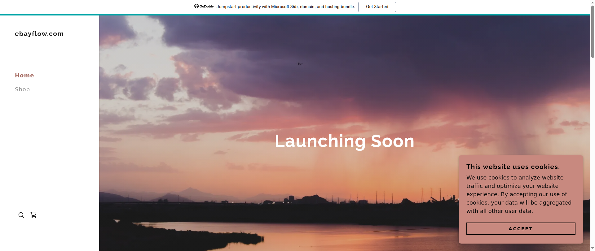Screenshot of ebayflow.com