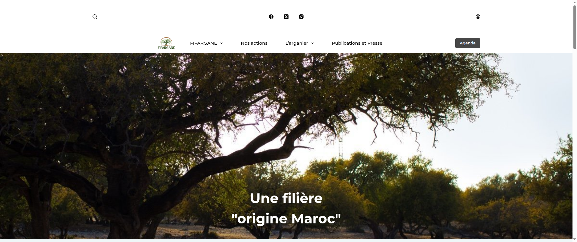 Screenshot of fifargane.com
