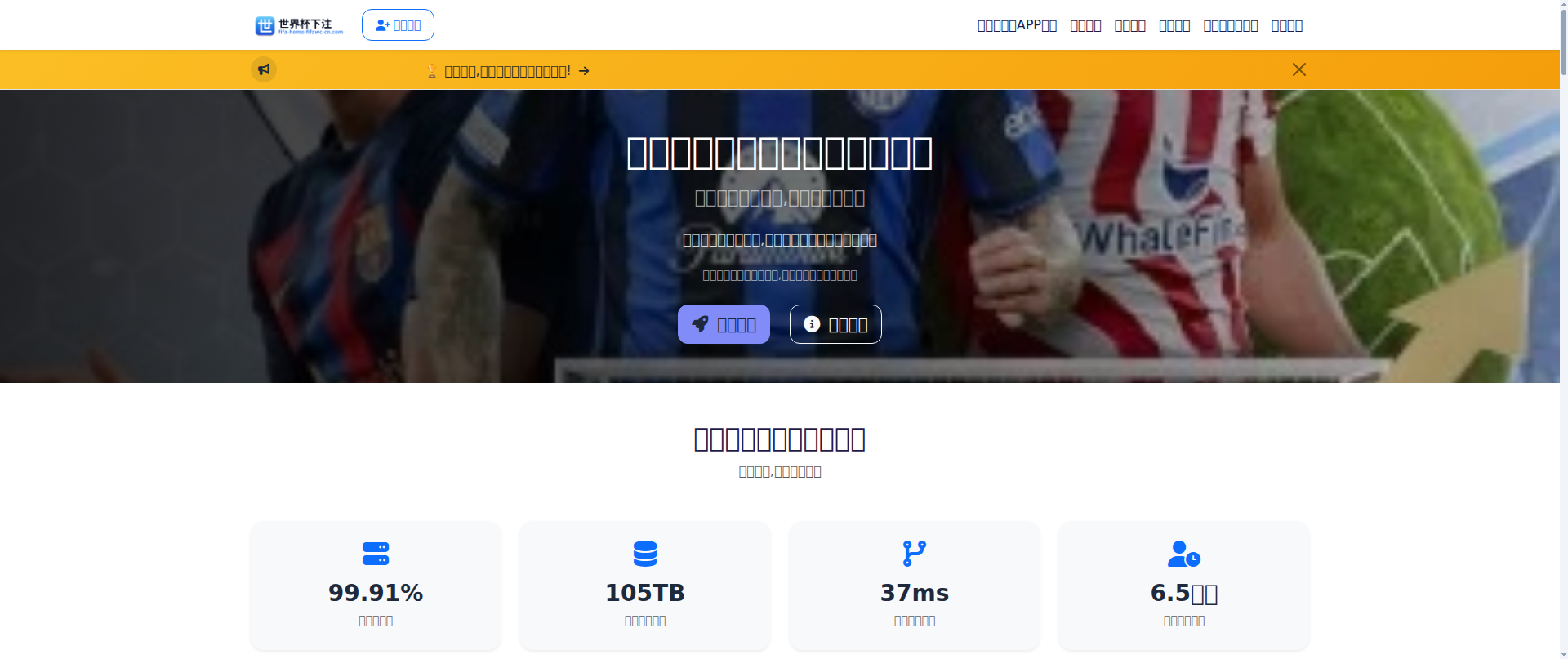 Screenshot of fifa-home-fifawc-cn.com