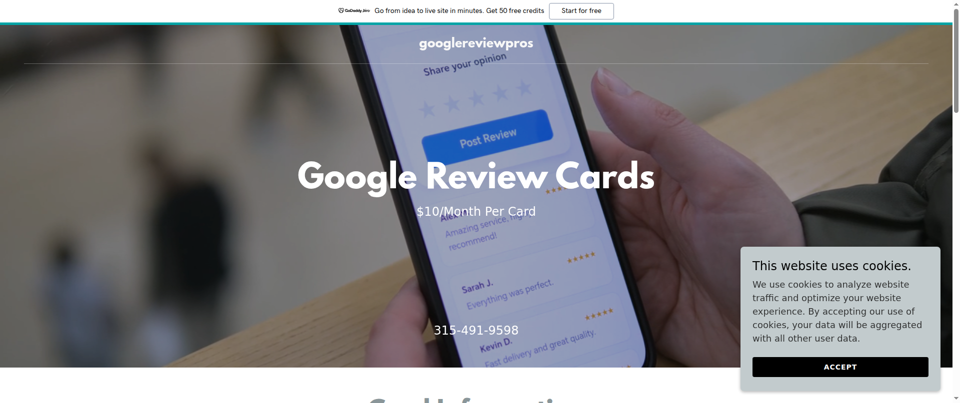 Screenshot of googlereviewpros.com
