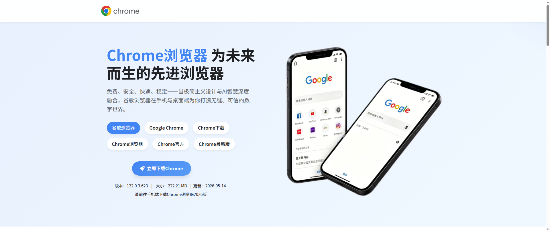 Screenshot of ch-google.cc