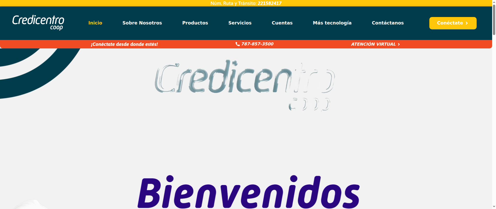 Screenshot of ingdirect-portal-acceso.com