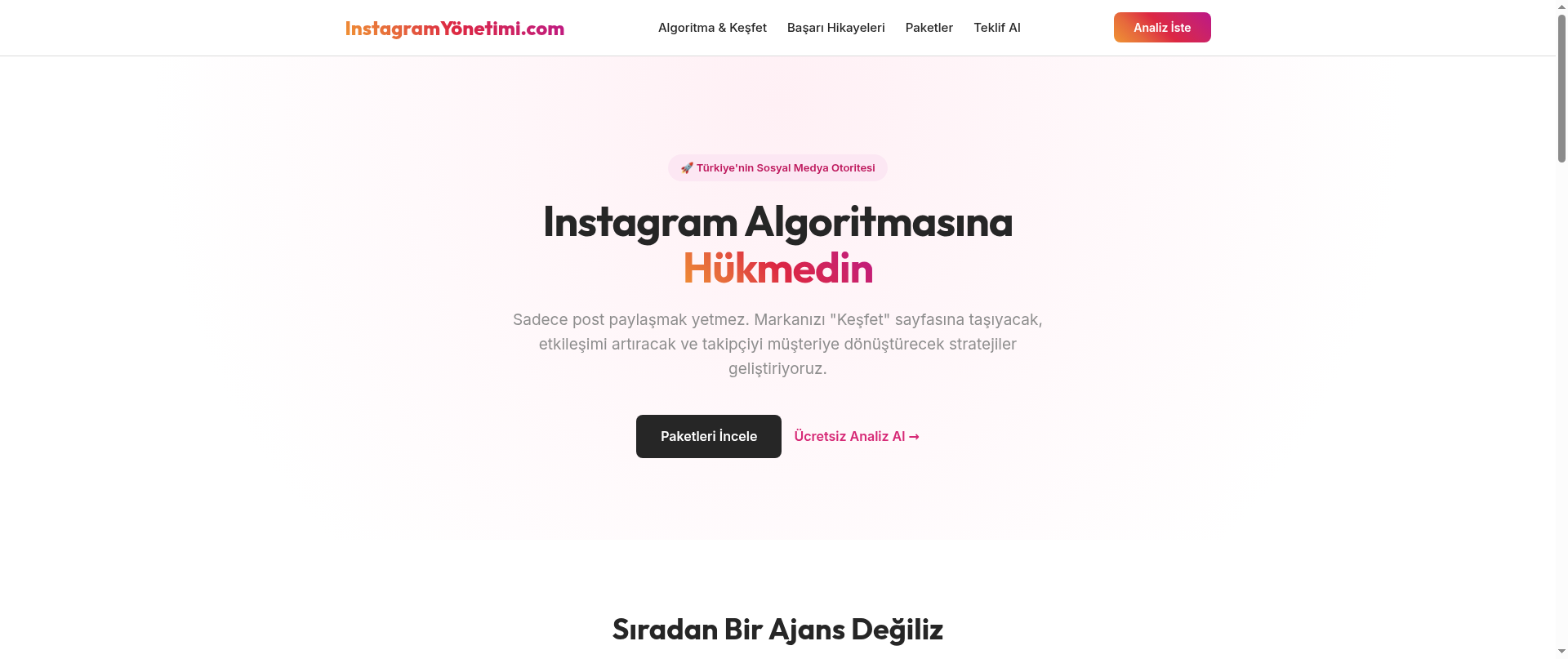 Screenshot of instagramyonetimi.com