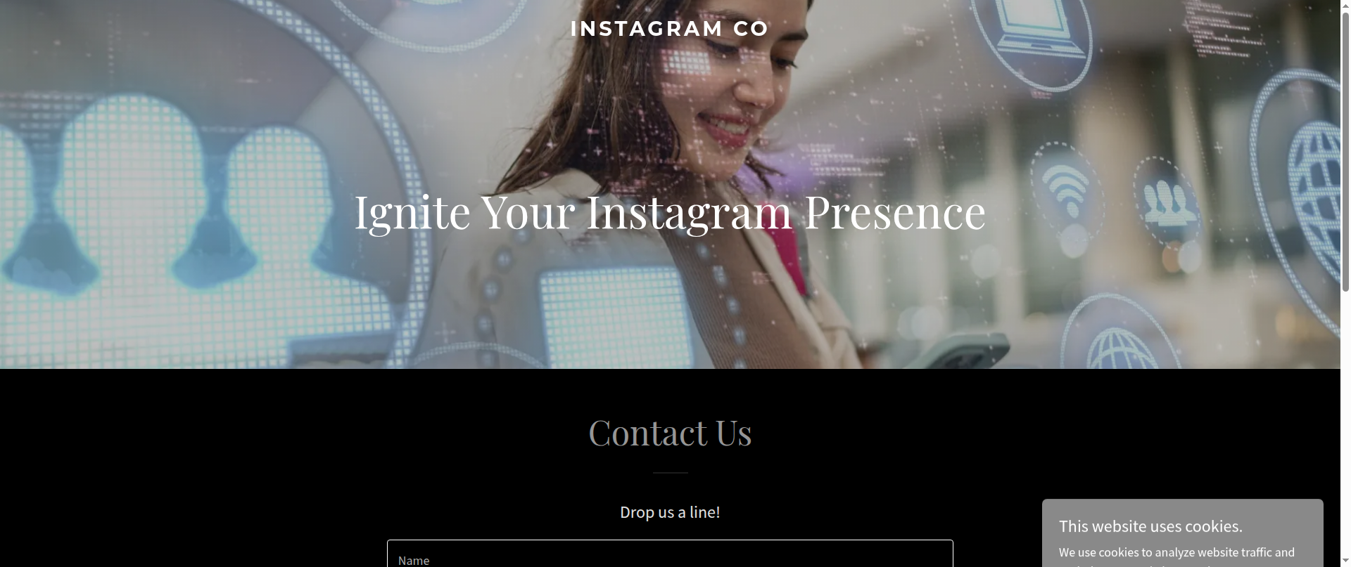 Screenshot of instagramco.com
