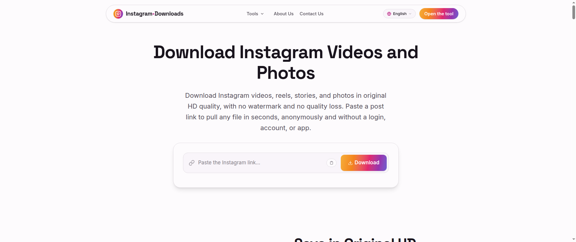 Screenshot of instagram-downloads.com