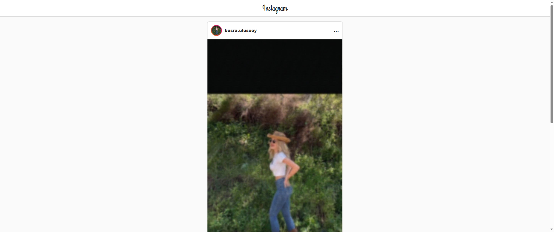 Screenshot of instagram-giris.com