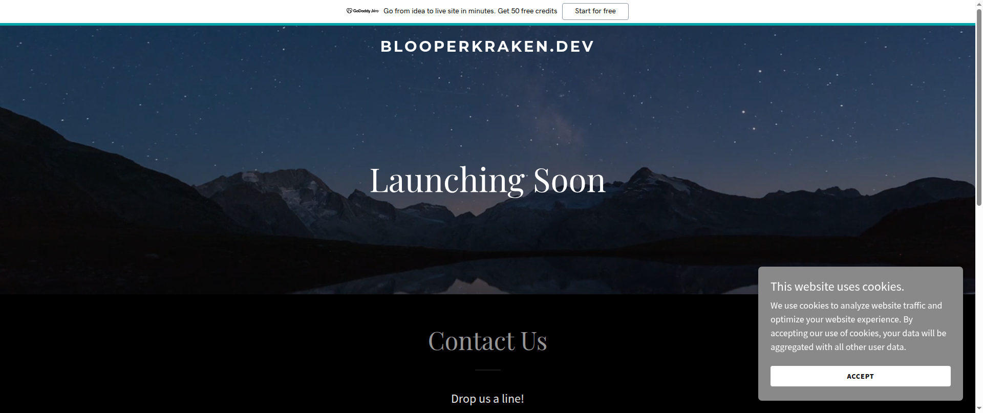 Screenshot of blooperkraken.dev
