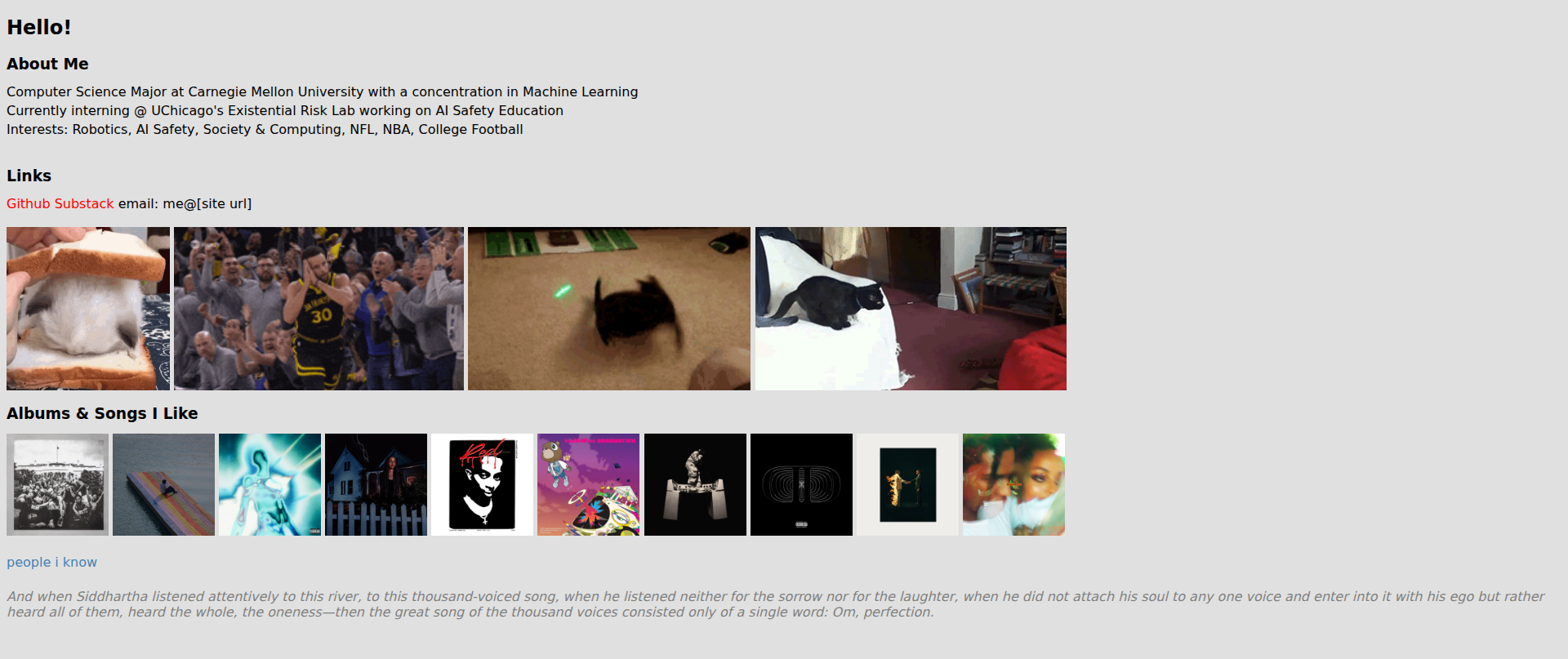 Screenshot of nolinkedin.com