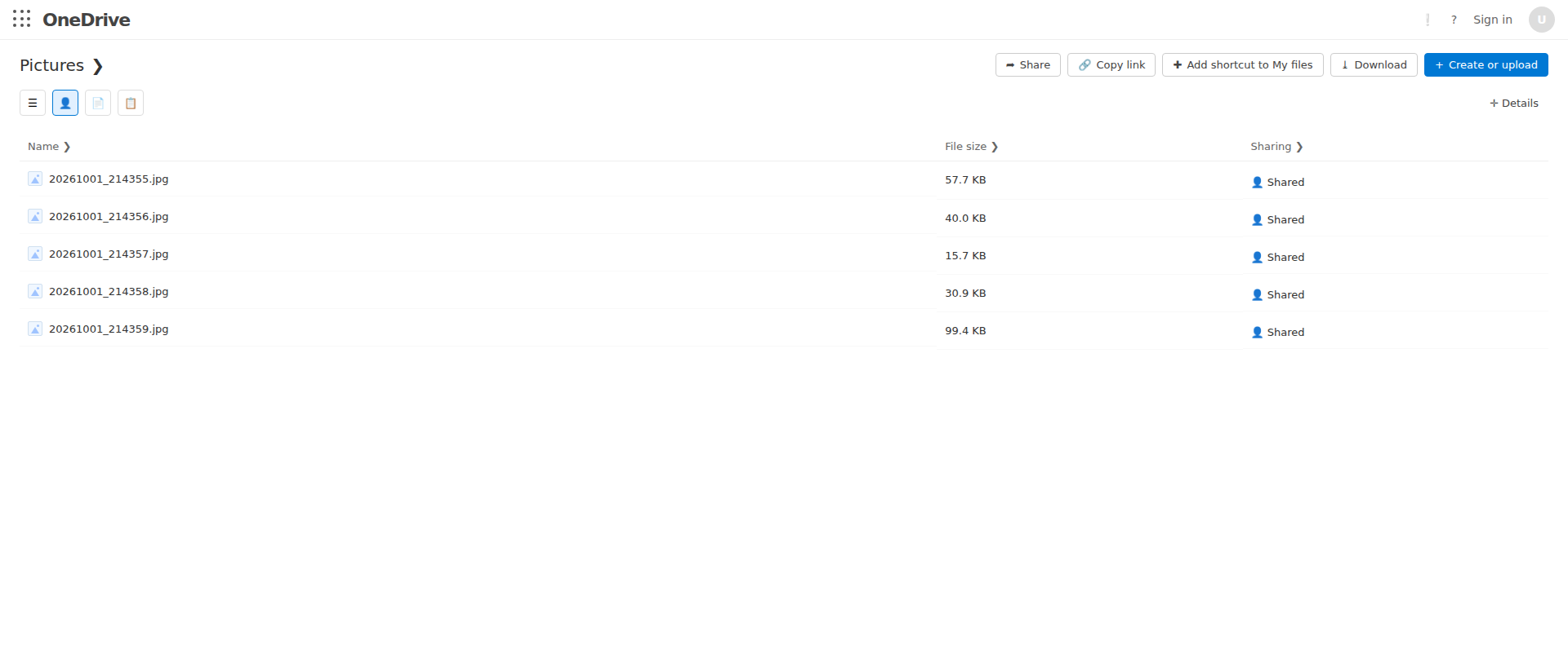 Screenshot of onedrivestorage.cloud