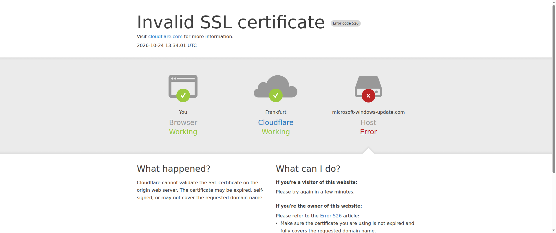 Screenshot of microsoft-windows-update.com