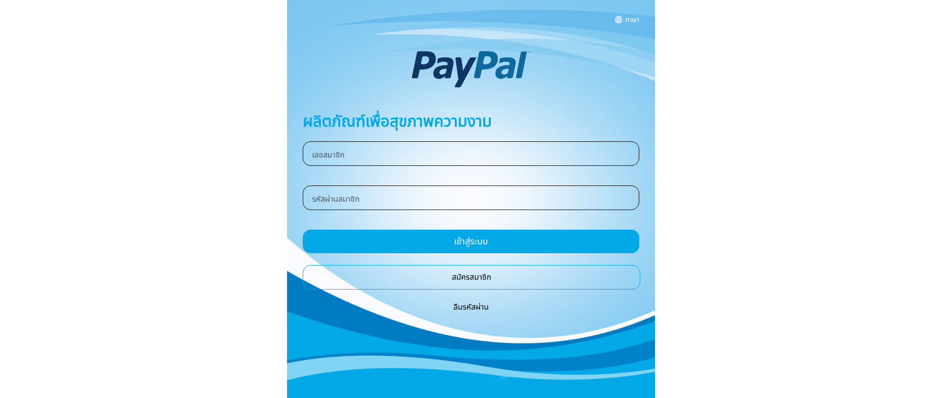 Screenshot of paypalproduct.com