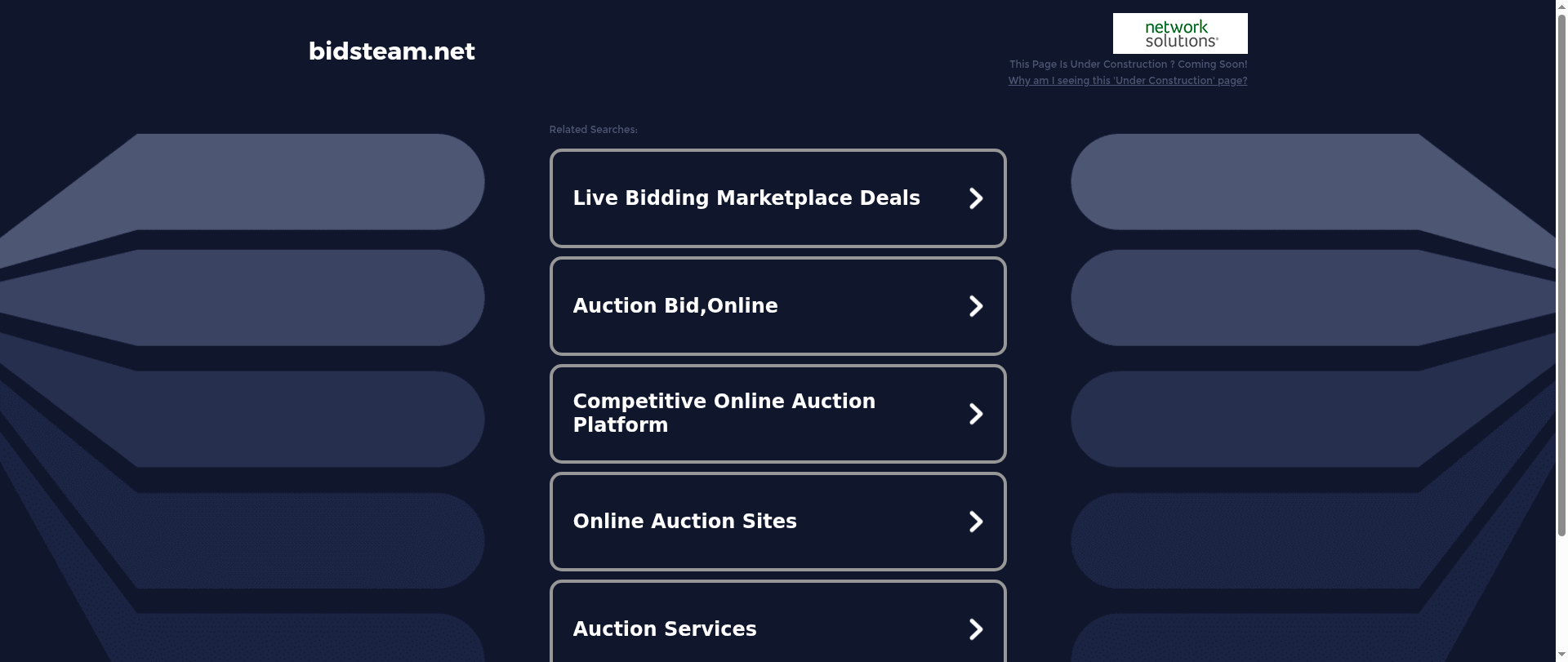 Screenshot of bidsteam.net