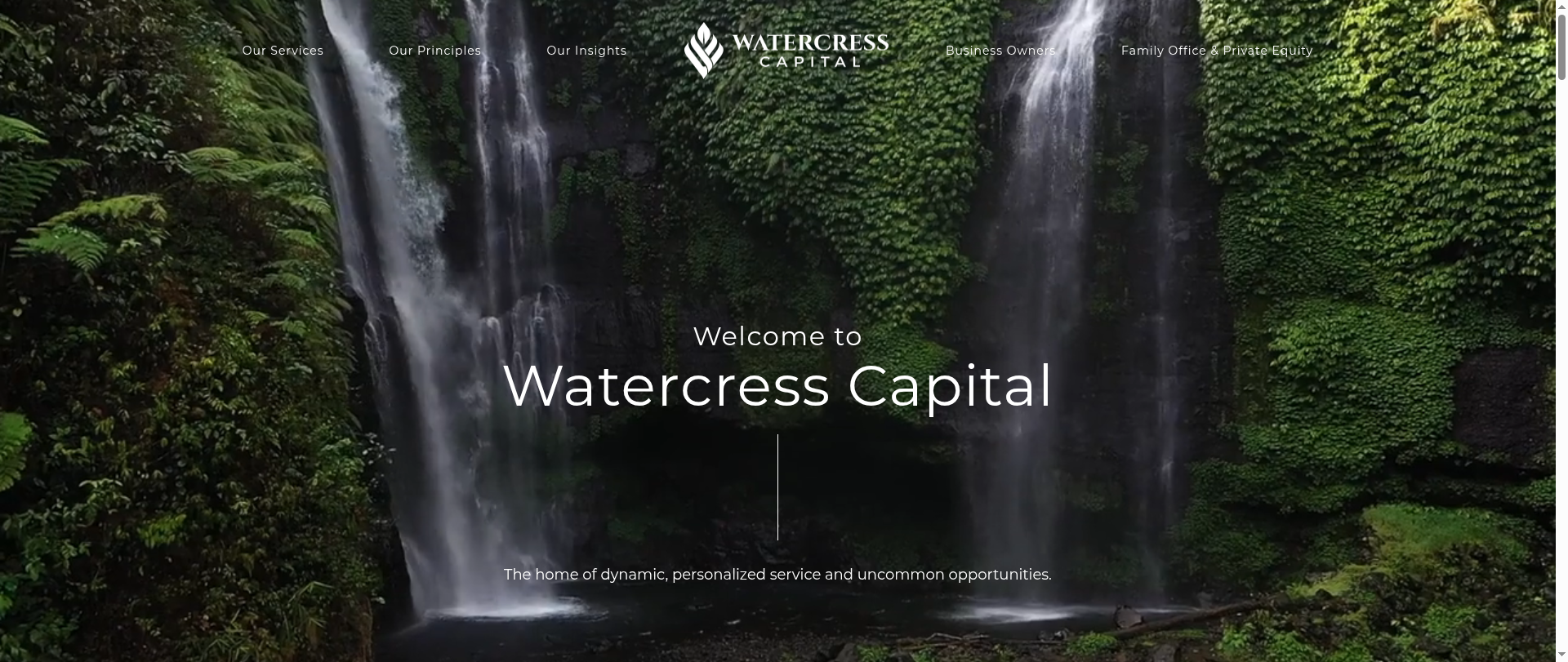 Screenshot of watercressteam.com