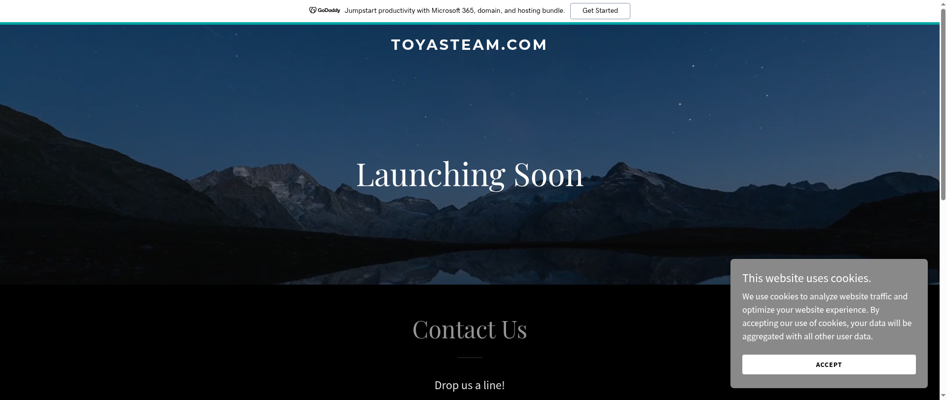 Screenshot of toyasteam.com