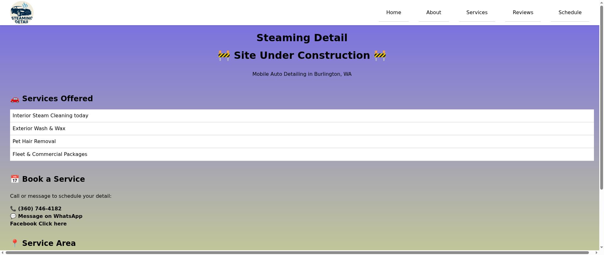 Screenshot of steamingdetail.com