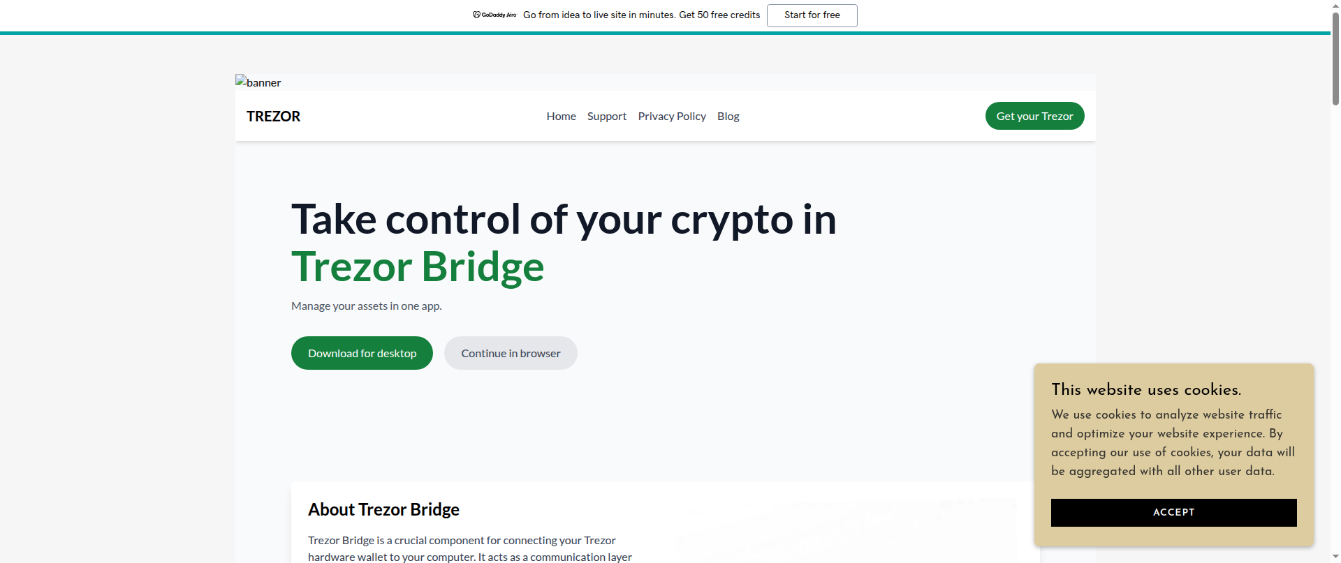 Screenshot of welcome-trezor-bridge.godaddysites.com