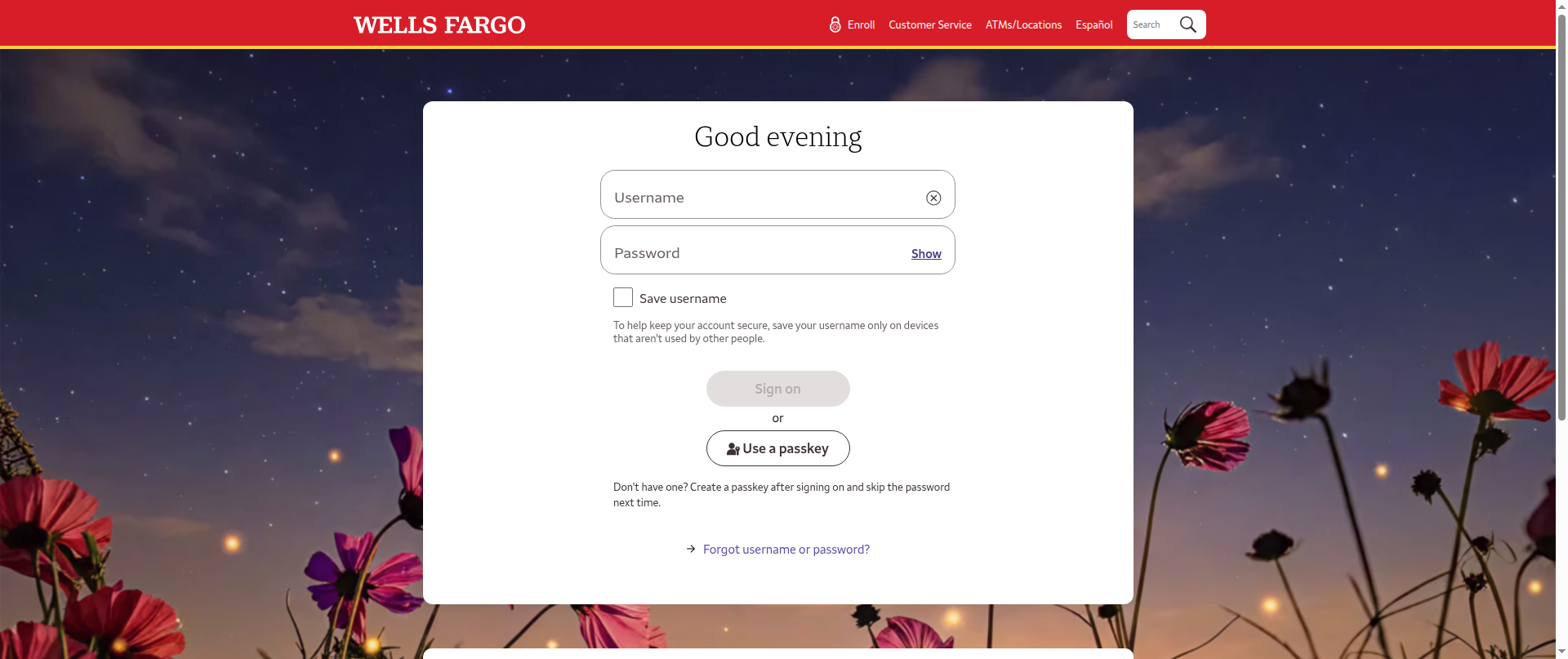 Screenshot of wellsfargosecurelogin.ct.ws