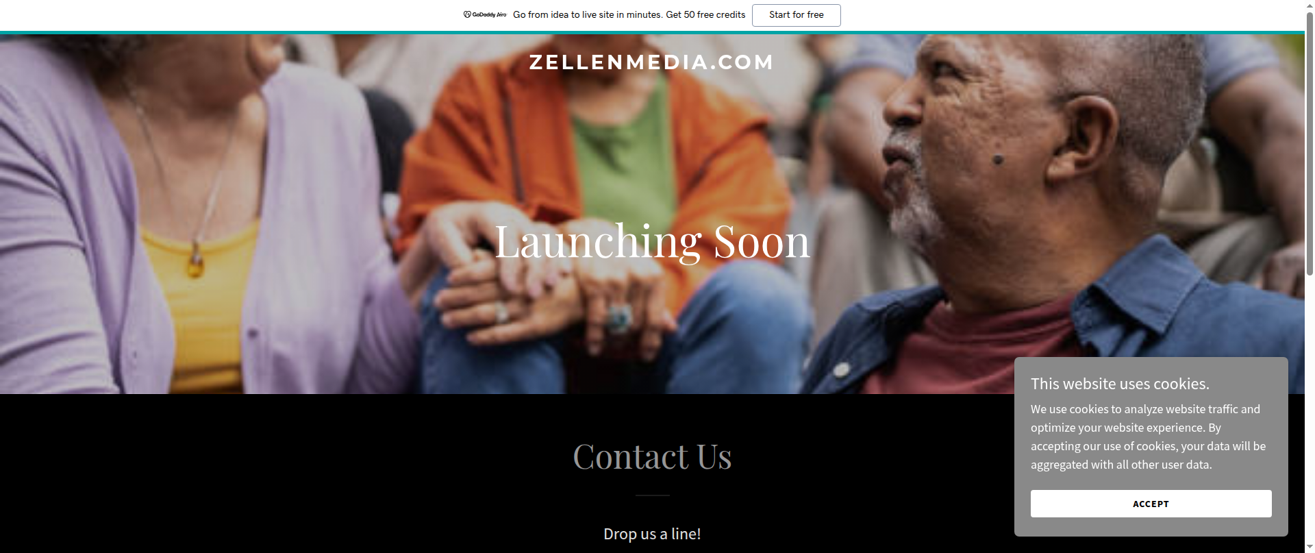 Screenshot of zellenmedia.com